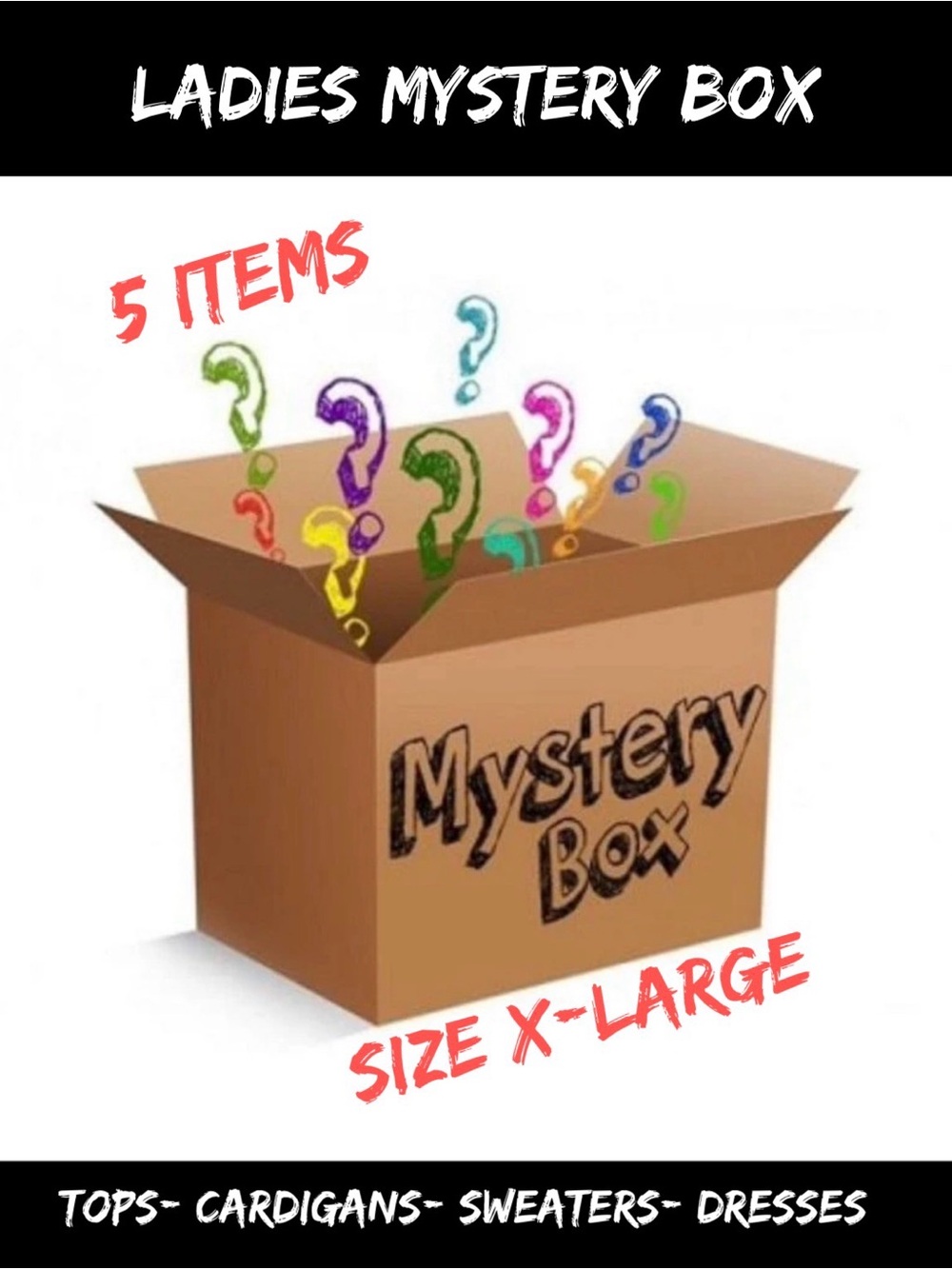 Mystery Box- Ladies Tops X-Large